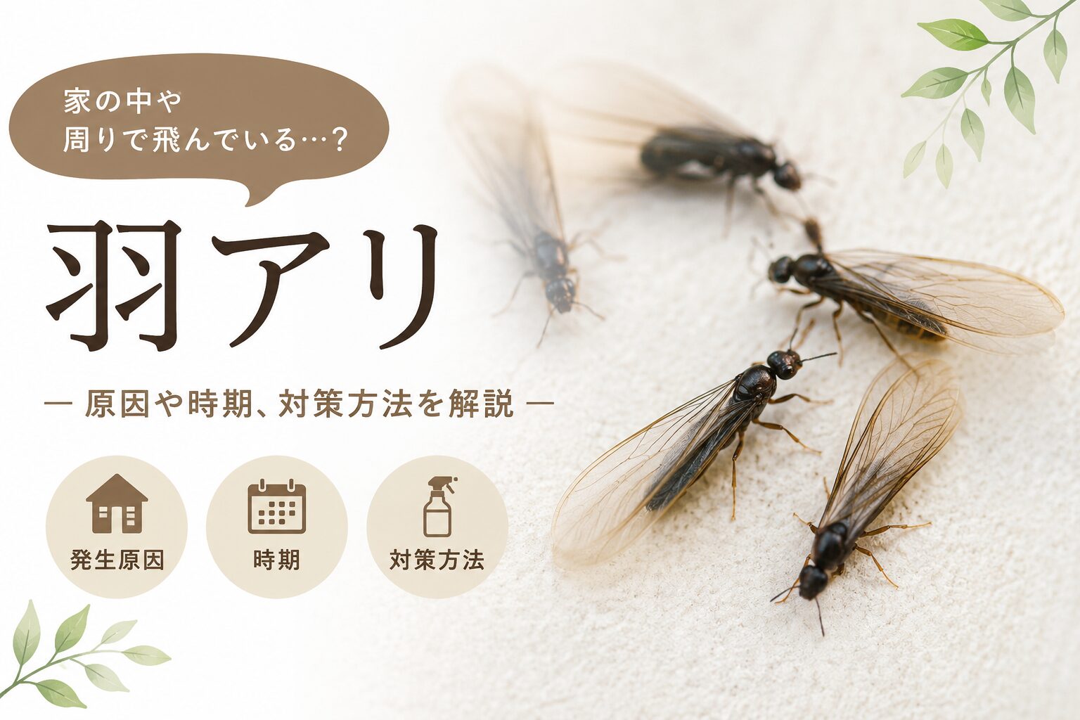 家の中や周辺を飛ぶ羽アリとシロアリ対策、害虫駆除の原因や時期、対策方法を解説するイメージ画像