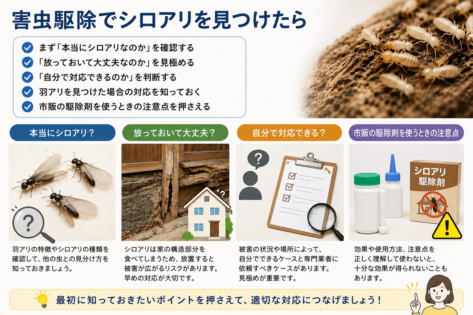 害虫駆除でシロアリを見つけたときの手順や確認ポイントを解説したインフォグラフィック画像
